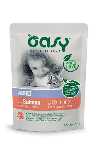 Adult Salmon Oasy Dry Food For Cats