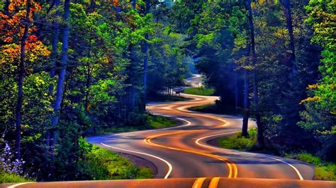 Gray Asphalt Road And Green Leafed Trees Trees Nature Road Hd