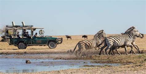 8 Day Good Value Botswana Safari