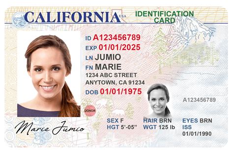 National Id Card Template