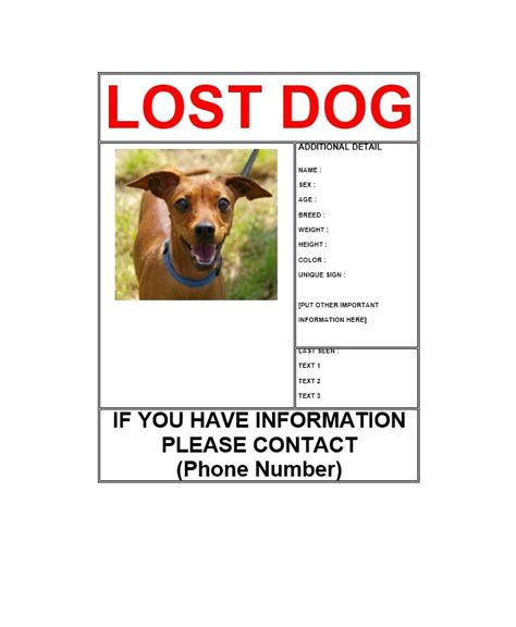 Free Printable Lost Pet Flyer Printable World Holiday