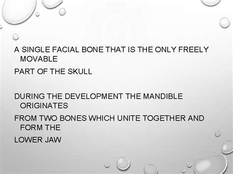 Mandibula Lower Jaw Anatomy Clinical Notes Dentoalveolar Topography