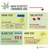 Marijuana Drug Test Cleanse