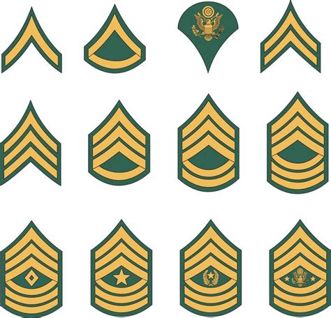 Army Enlisted Rank Insignia Stickers In 2022 Army Ranks Military