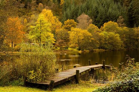 Autumn In The Trossachs Nature Photography Nature Photography