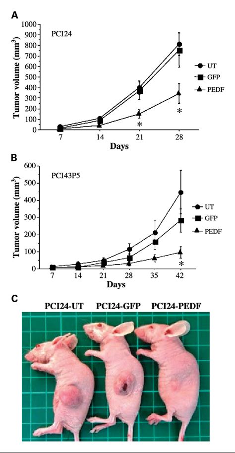 Figure 4 From Pigment Epitheliumderived Factor Gene Therapy Inhibits