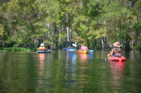 Welcome To Florida Paddle Notes Haw Creek Paddle
