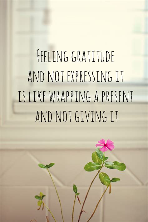 Expressing Gratitude Week 2 On My Gratitude Journey