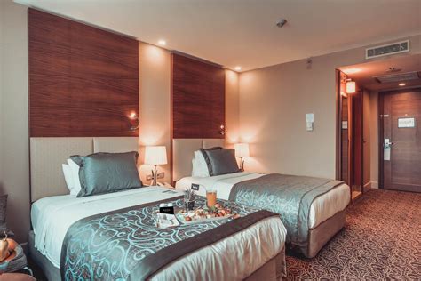 New Park Hotel Ankara Deluxe Twin Room