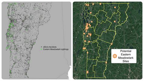 Blitz Results Vermont Atlas Of Life