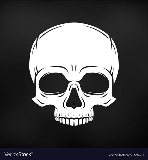 Human Evil Skull Jolly Roger Logo Template Vector Image