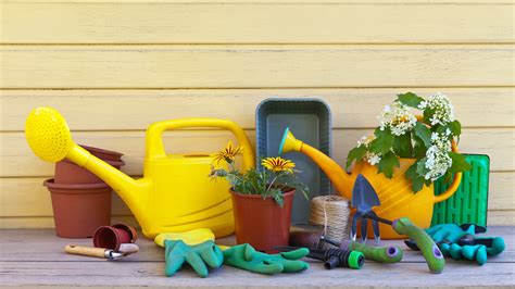 The 5 Best Tools For Watering Your Plants