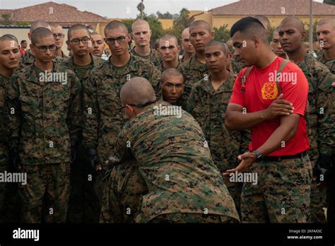 Us Marine Corps Sgt Julio Mayorgo A Drill Instructor With Bravo