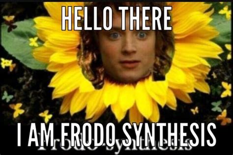 Frodo Synthesis 😂😂 Lotr Amino
