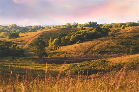Prairie preserve in my hometown. Untouched gem of the loess hills in the middle of my city of ...
