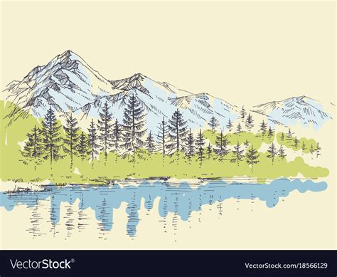 Pine Forest In The Mountains Over A Lake Vector Image