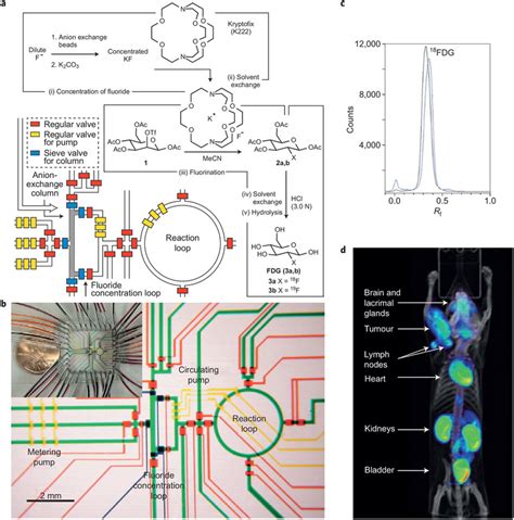 Willis1,2* and arif sheikh3 1department of pathology and laboratory medicine, university of north carolina, chapel hill, nc, usa 2mcallister. Microfluidic reactors for integrated synthesis.On-chip ...