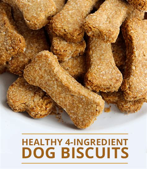 Healthy 4 Ingredient Dog Biscuits Recipe