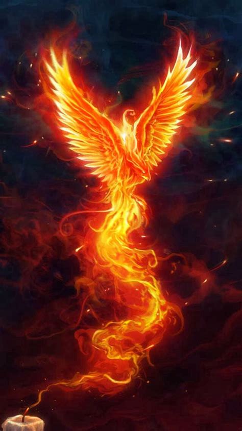 The Fire Bird Phoenix Wallpaper Phoenix Artwork Phoenix Images