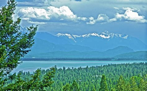 Columbia Lake Which Is Source Of The Columbia River British Columbia