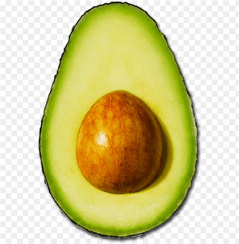 The Avocado Aguacate Png Image With Transparent Background Toppng