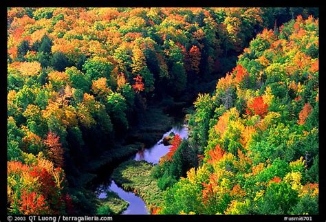 Picturephoto River And Trees In Autumn Colors Porcupine Mountains