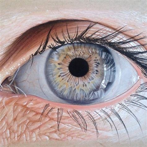Hyper Realistic Eye Illustrations By Jose Vergara Eye Illustration