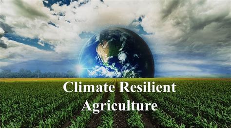 Ensuring Food Security Through Climate Resilient Agriculture