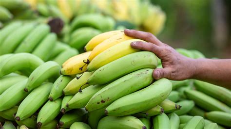 The Best Ways To Keep Bananas Fresh