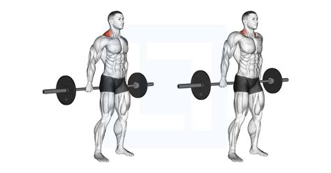 Barbell Behind The Back Shrug Guide Benefits And Form