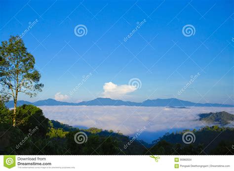 Morning Mist At Tropical Mountain Range Stock Photo Image Of Hill