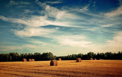 Wallpaper Field Sunset Nature Haystacks Images For Desktop Section