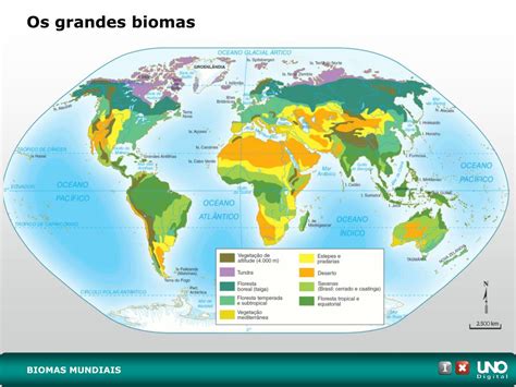 Biomas Mundiais E Suas Características MODISEDU