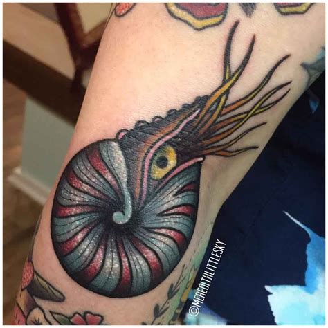 Nautilus Shell Tattoo On Arm