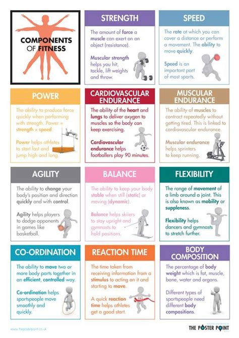 Components Of Fitness Poster Definitions For Gcse Pe Students Gcse