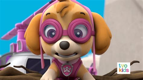 Skye The Cockapoo Skye Paw Patrol Foto 40719623 Fanpop