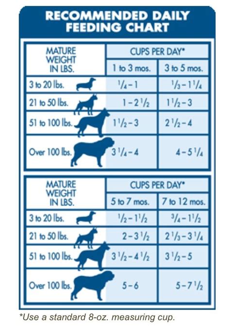 53 Excited Puppy Feeding Chart By Weight And Age Image 4k Uk