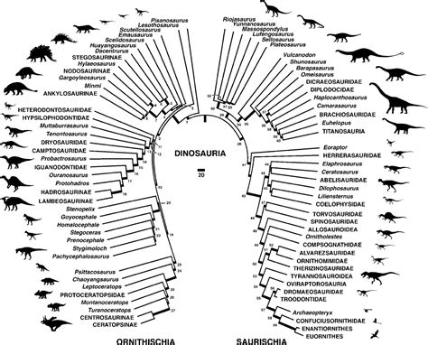 Paleontology Were Dinosaurs With Feathers Common Earth Science