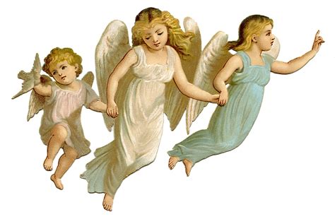 Three Baby Angel Flying Graphic Images Pictures Wallpapers Photos