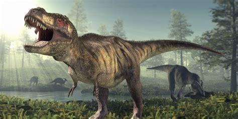 T Rex Fossils Found In Montana Indicate It Was Pregnant