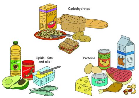 Carbohydrate Food HEALTH GYM GUIDE