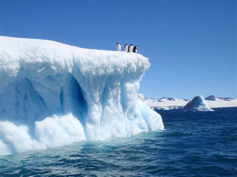 Antarctica is considered a desert despite the fact that it holds 70% of the fresh water on earth. 10 Largest Deserts in the World