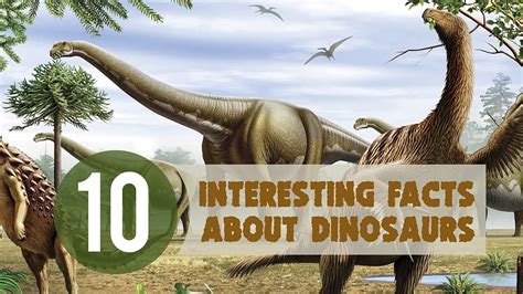97 Interesting Facts About Dinosaurs Dinosaur