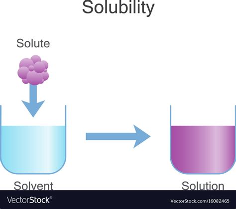 Solubility Diagram Quizlet