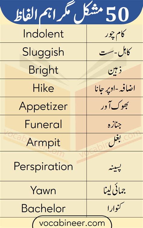 50 Most Commonly Used English Words With Urdu Meanings For Beginner