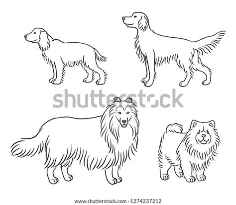 Dogs Different Breeds Outlines Russian Spaniel Stock Vector Royalty