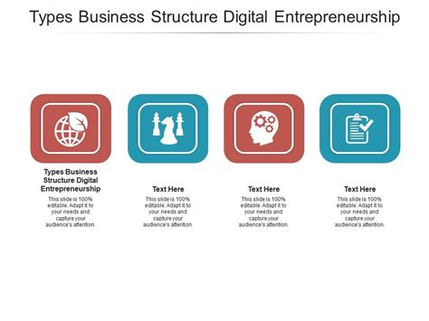 Types Business Structure Digital Entrepreneurship Ppt Powerpoint