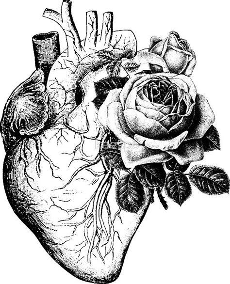 Floral Anatomical Heart By Kaespo Anatomical Heart Tattoo Heart