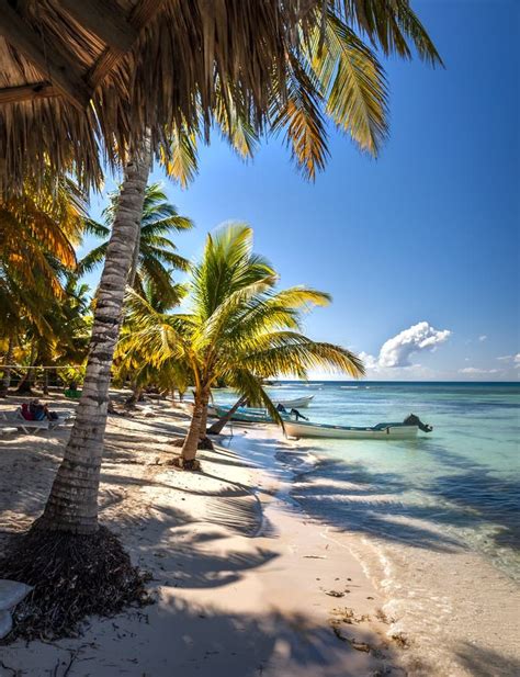 A Peaceful Caribbean Beach With Sand And Palm Trees With Moored Motor