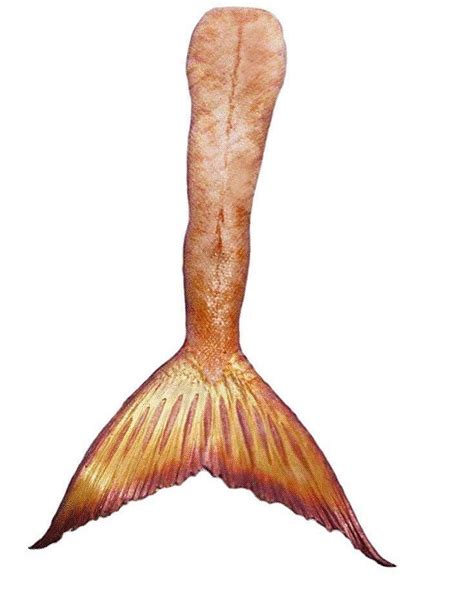 Pin By Effonjosefvon Dee On Mako Mermaids Mako Mermaids H2o Mermaids H2o Mermaid Tails